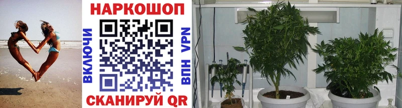 Купить Афипский Канабис  Амфетамин  ГАШИШ  Галлюциногенные грибы  МЕФ 